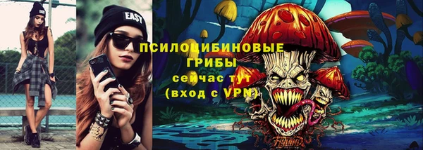 экстази Гусь-Хрустальный