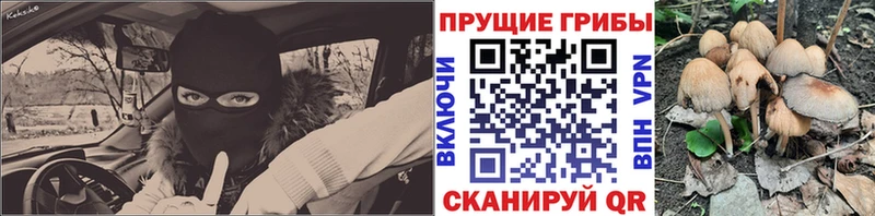 Галлюциногенные грибы мицелий  цены   mega ТОР  Жуковский 